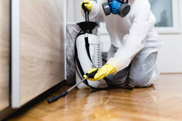 Best Cockroach Control Services  in Dewey, OK