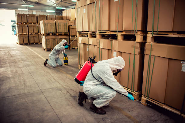 Best Affordable Pest Control Services  in Dewey, OK