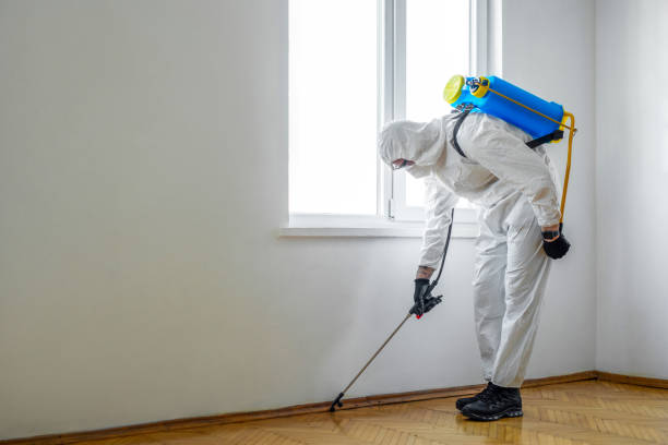 Pest Control Cost in Dewey, OK