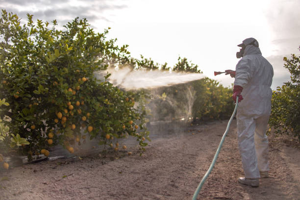 Best Local Pest Control Services  in Dewey, OK